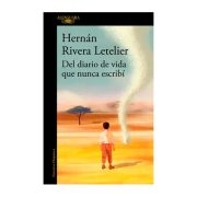 DEL DIARIO DE VIDA QUE NUNCA